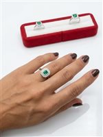 Ring Woman in White Gold 56559